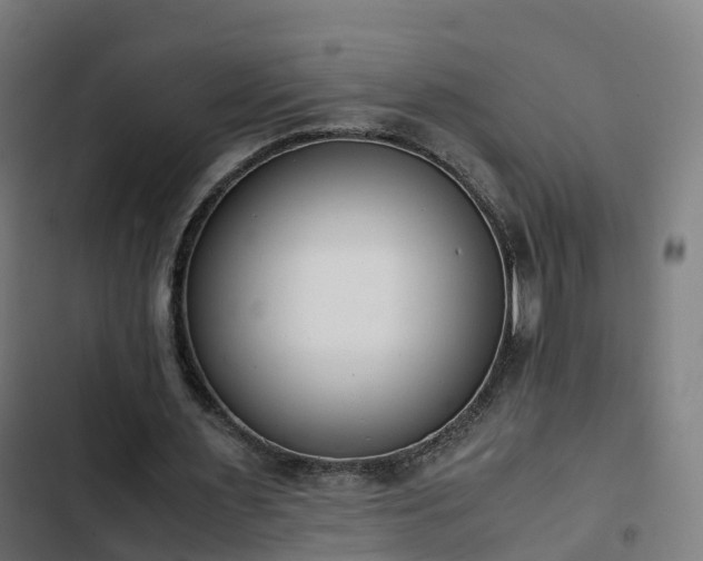 X0000103270483200809051511