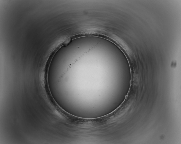 X0000103270485200809051511