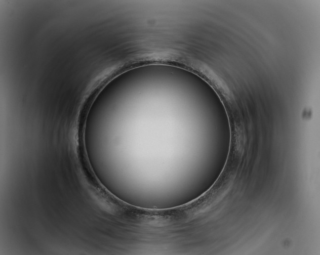 X0000103270486200809051511