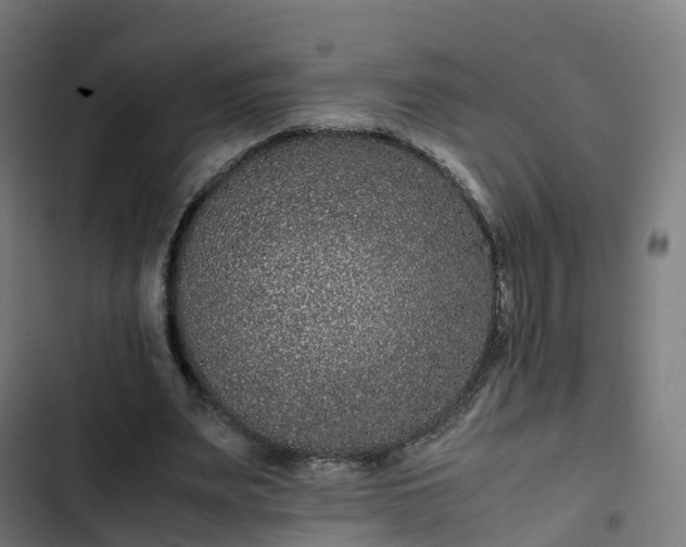 X0000103270487200809051511