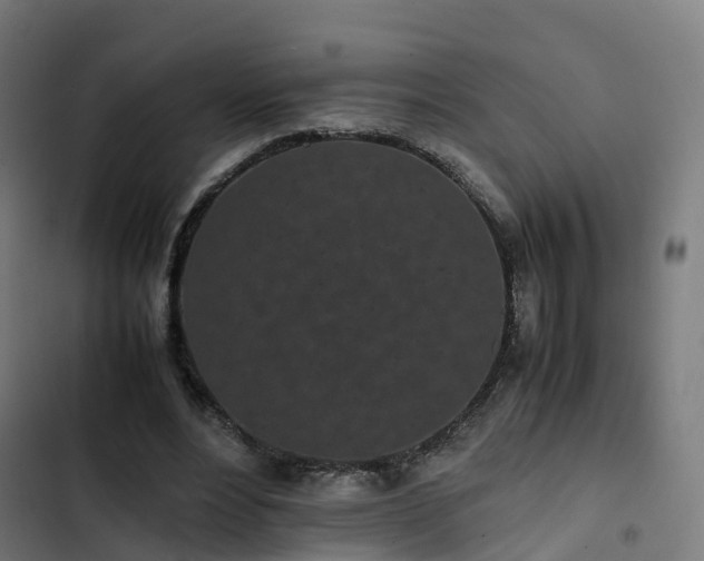 X0000103270488200809051511