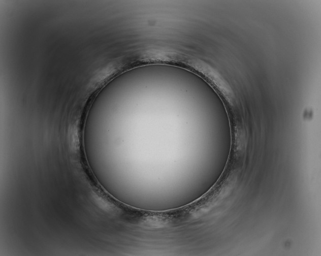 X0000103270489200809051511