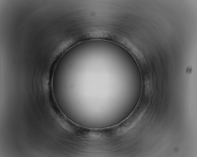 X0000103270490200809051511