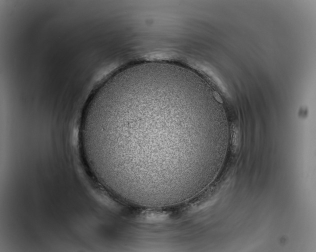 X0000103270491200809051511