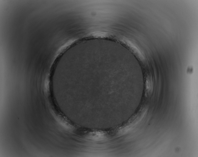 X0000103270492200809051511