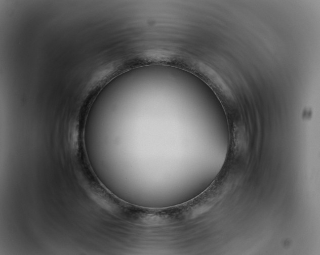 X0000103270494200809051511