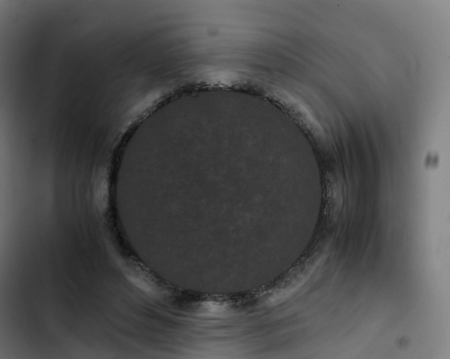 X0000103270496200809051511