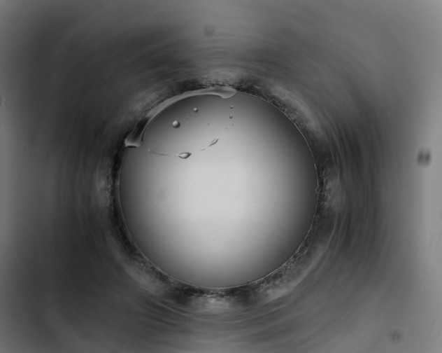 X0000103270498200809051511