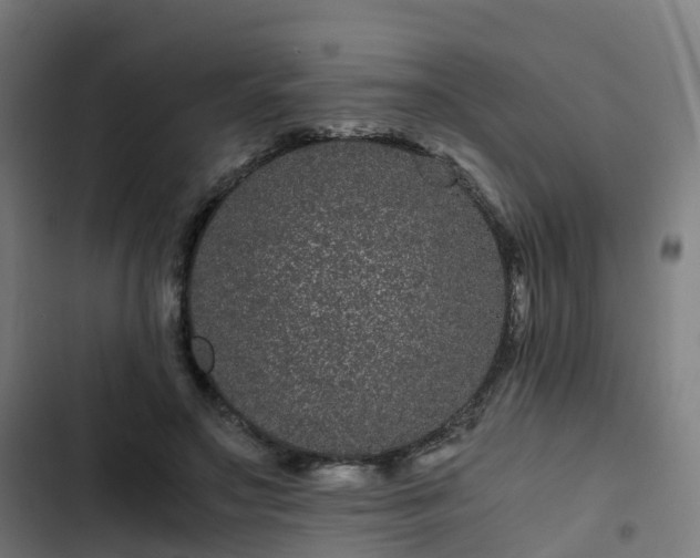 X0000103270499200809051511