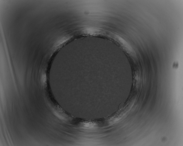 X0000103270500200809051511