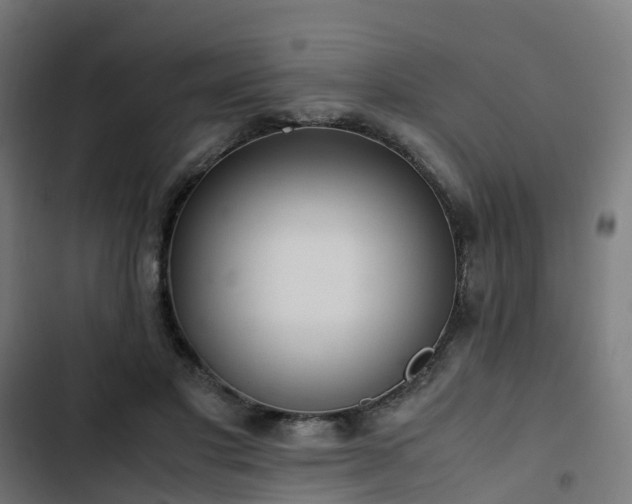 X0000103270501200809051511