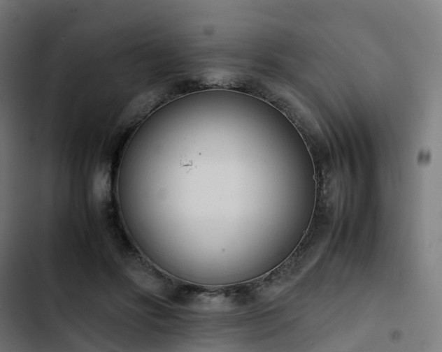 X0000103270502200809051511