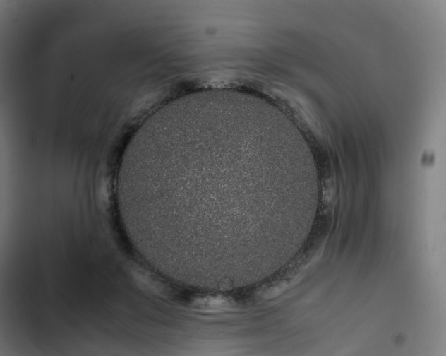 X0000103270503200809051511