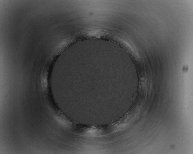 X0000103270504200809051511