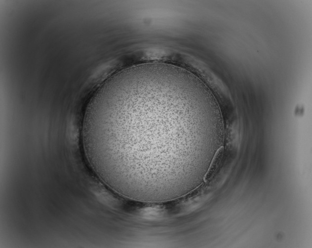 X0000103270505200809051511
