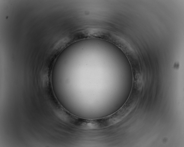 X0000103270506200809051510