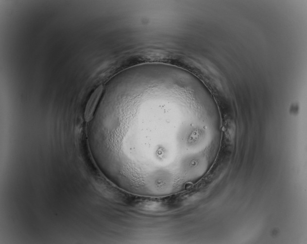 X0000103270507200809051510