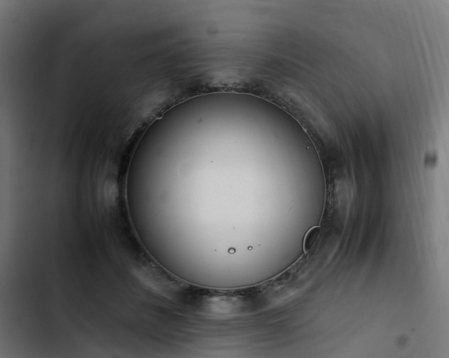 X0000103270508200809051510