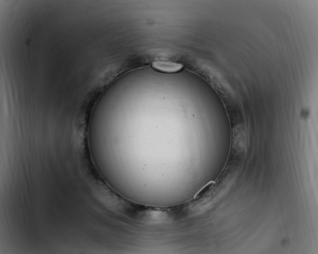 X0000103270509200809051510