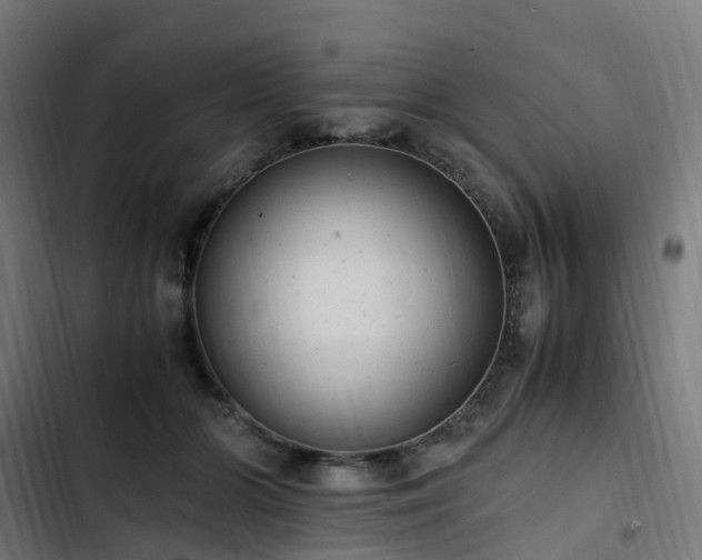 X0000103270510200809051510