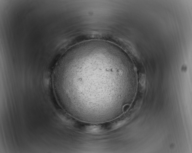 X0000103270511200809051510