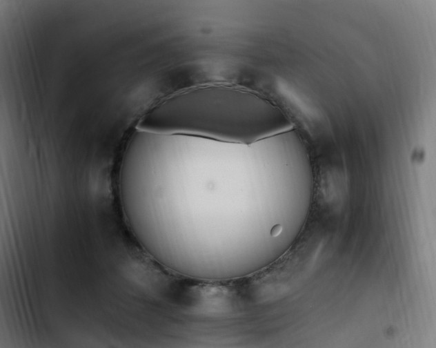 X0000103270512200809051510