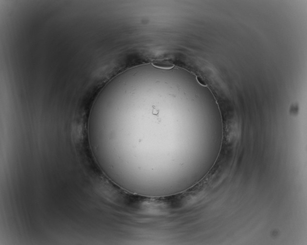 X0000103270515200809051510