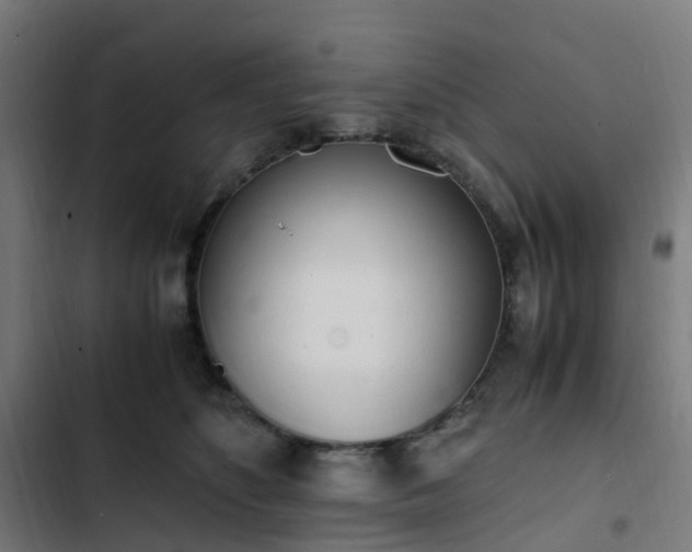 X0000103270516200809051510