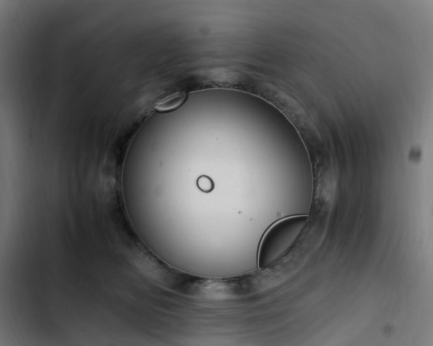 X0000103270518200809051510