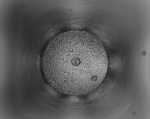 X0000103270519200809051510