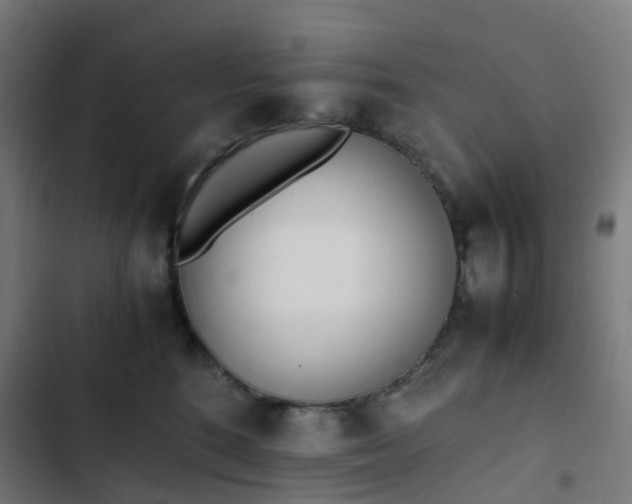 X0000103270520200809051510