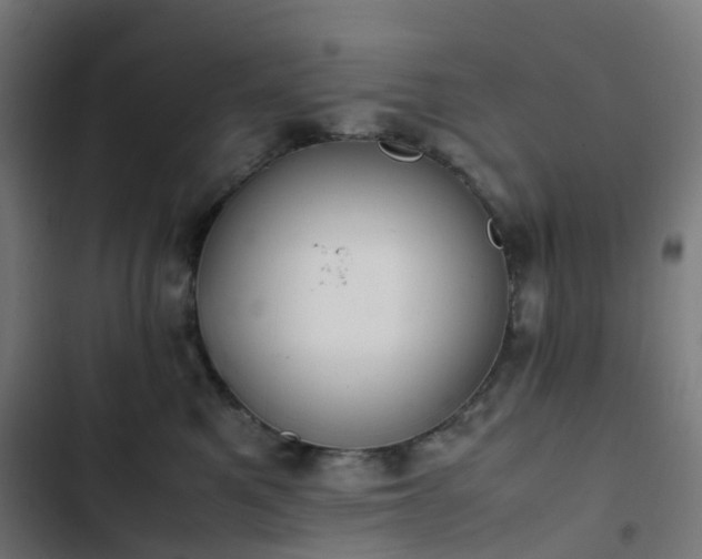 X0000103270521200809051510