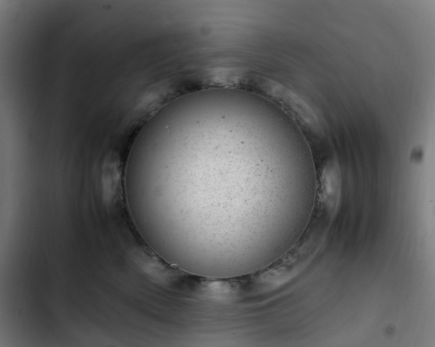 X0000103270522200809051510