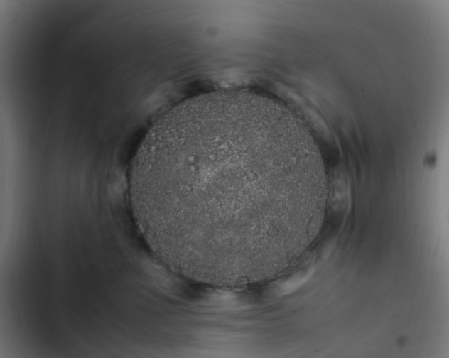 X0000103270523200809051510