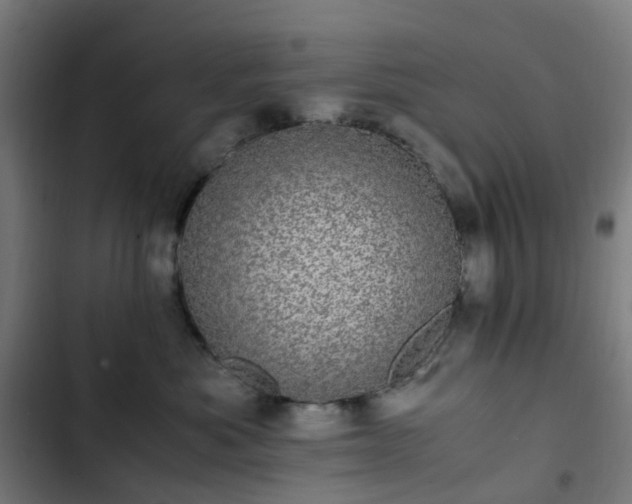 X0000103270525200809051510