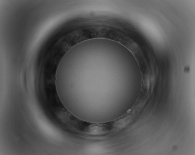 X0000103270526200809051510