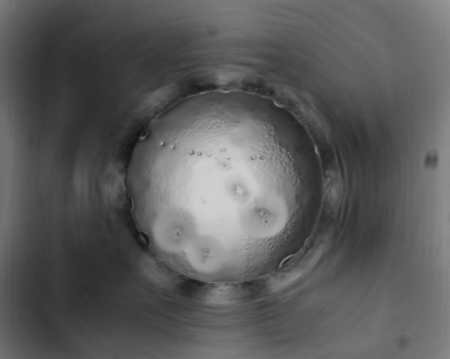 X0000103270527200809051510