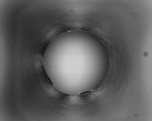 X0000103270528200809051510