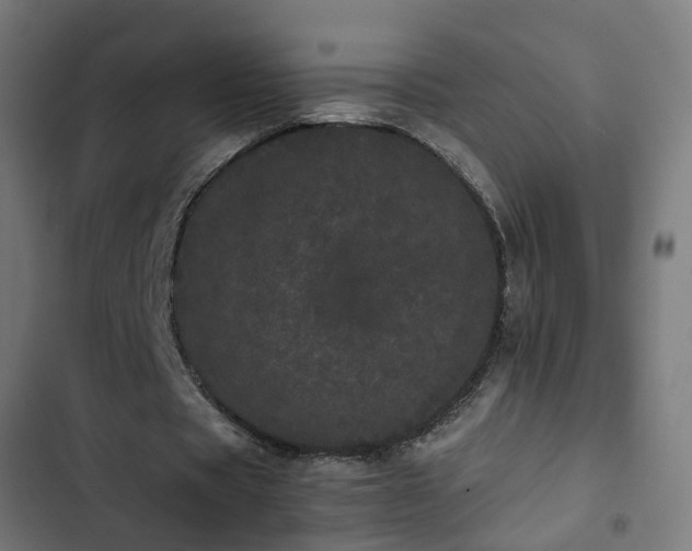 X0000103270529200809051509