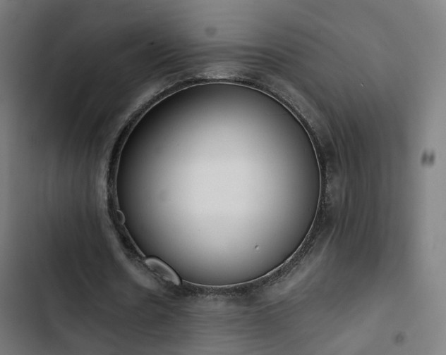 X0000103270530200809051509