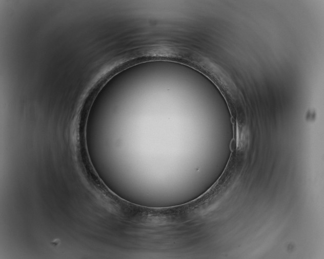 X0000103270531200809051509