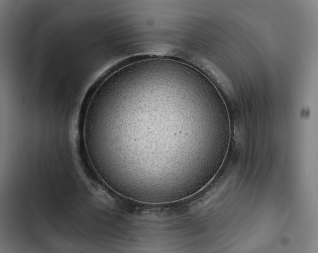 X0000103270532200809051509