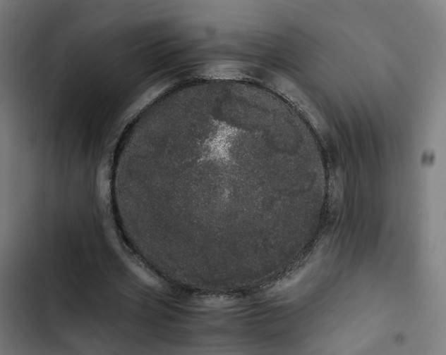 X0000103270533200809051509