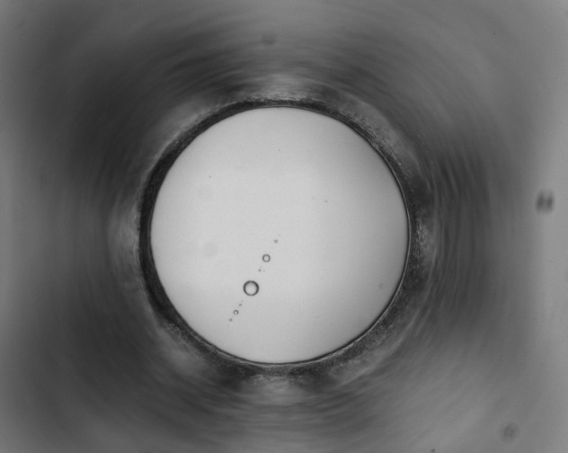 X0000103270534200809051509