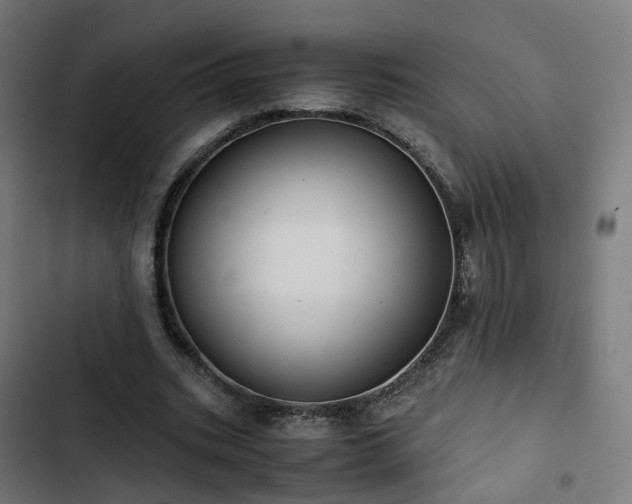 X0000103270535200809051509