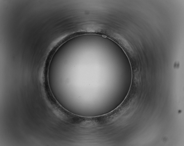 X0000103270536200809051509