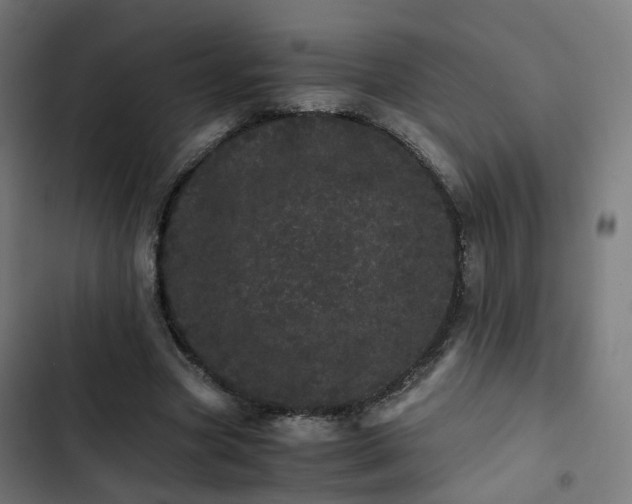 X0000103270537200809051509