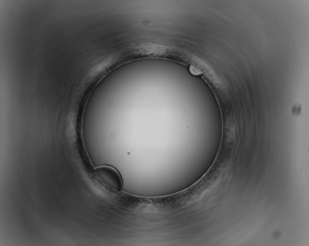 X0000103270538200809051509