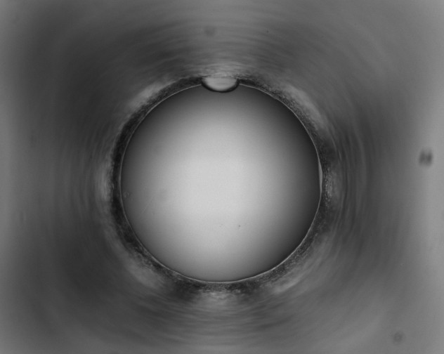 X0000103270540200809051509