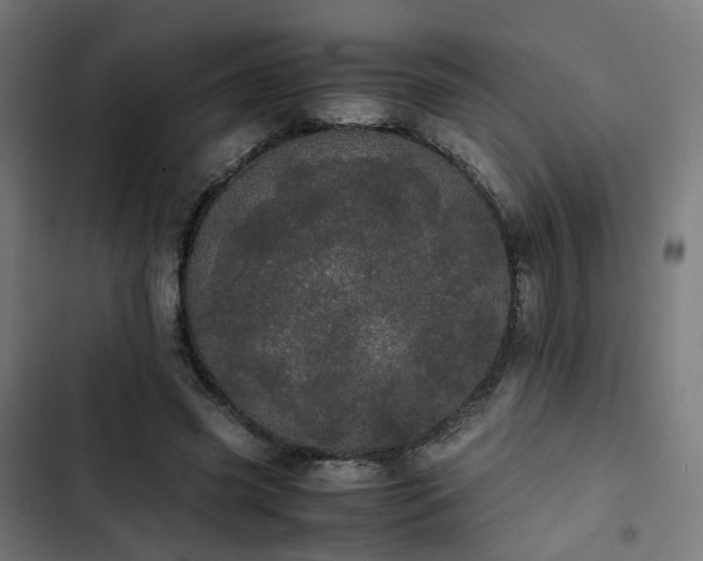 X0000103270541200809051509